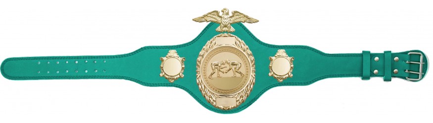 GRAPPLING CHAMPIONSHIP BELT-PLT288/G/GRAPG-4 COLOURS GRAPPLING CHAMPIONSHIP BELT-PLT288/G/GRAPG-4 COLOURS